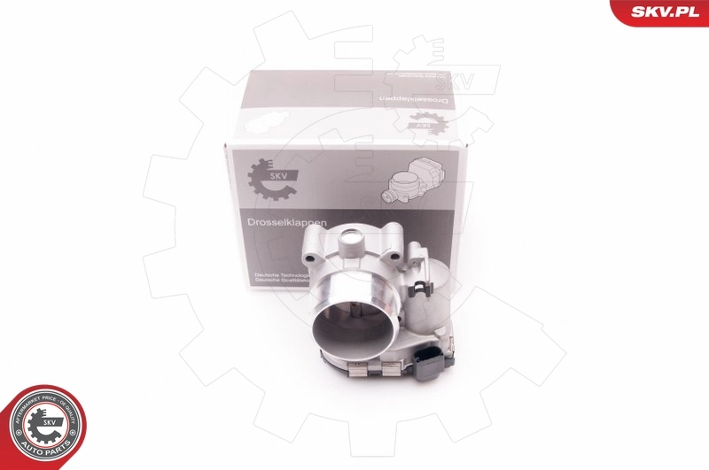Throttle Body